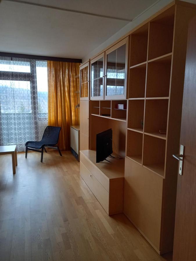 Panoramis Apartment In Шладминг Экстерьер фото
